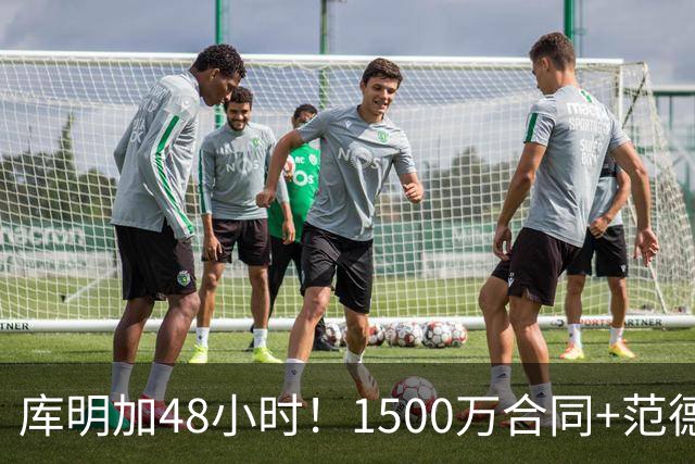 库明加48小时！1500万合同+范德比尔特卡点博弈